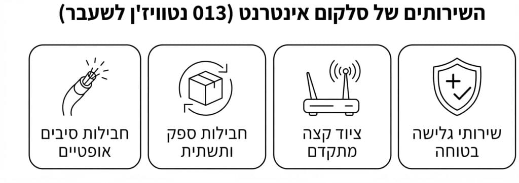 שירותי נטוויזן